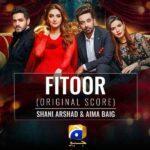 fitoor ost lyrics