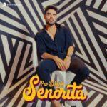Senorita Lyrics Pav Dharia