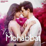 teri mohabbat lyrics