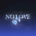No love lyrics