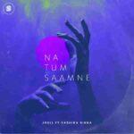 na tum saamne lyrics