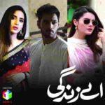 aey zindagi ost lyrics