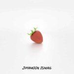friday lyrics shamoon ismail