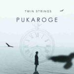 pukaroge lyrics twin strings