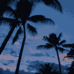 Waalian lofi lyrics Harnoor