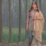 ravi lyrics hinanaaz bali