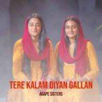 tere kalam diyan gallan lyrics