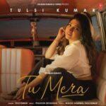 tu mera lyrics tulsi kumar