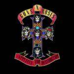 Take Me Down to the Paradise City Lyrics