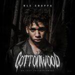Shotta Flow Clean Lyrics
