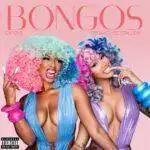 Bongos Clean Lyrics