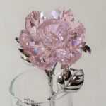 Diamondz n Roses Lyrics