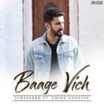 Baage Vich Aaya Karo Lyrics