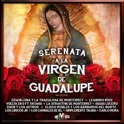 La Guadalupana Letra