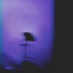 Till The End Lyrics