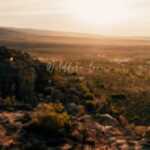 Wildfire Love Lyrics