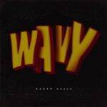 Wavy Lyrics Meaning in Hindi
