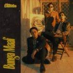 Bunga Maaf Lyrics