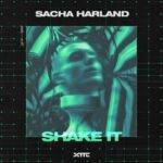 Shake It Lyrics