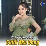 Culik Aku Dong Lyrics