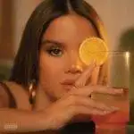 carry me through (Meaning) Lyrics