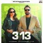 313 Lyrics