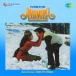 Chale Hi Jana Hai Lyrics In Hindi