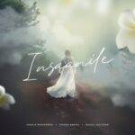 Insaanile Song Lyrics