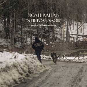Strawberry (Meaning) Lyrics