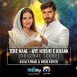 Tere Naal (Aye Musht-E-Khaak) Lyrics