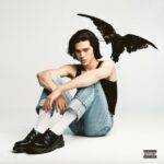 The Cut That Always Bleeds Lyrics Meaning