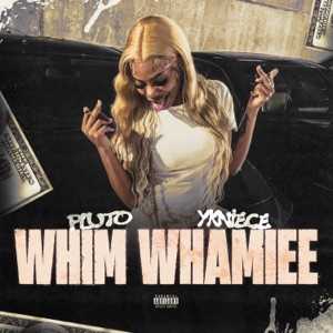 Lululemon Song Lyrics