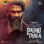Nee Singam Dhan Lyrics in Hindi (Translation)