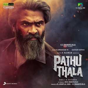 Nee Singam Dhan Lyrics in Hindi (Translation)
