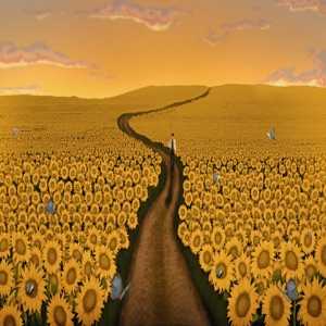 Sunflower Lyrics