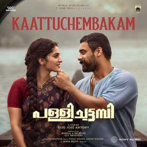 Pallichattambi Song Lyrics