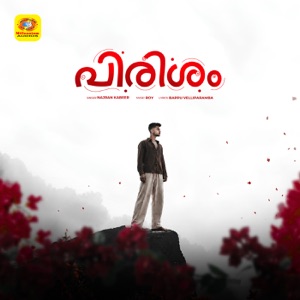 Pirisham Lyrics